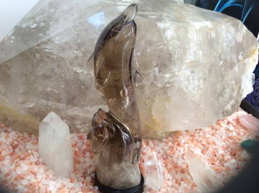 11083627_805877616149268_5617802945622574441_n