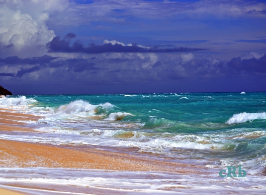 2011_Bermuda Beach_cRb