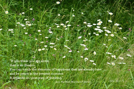 Alone -Illusions - Thich