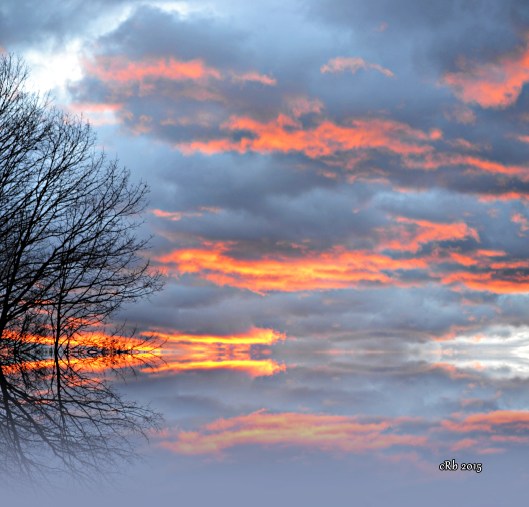 Dragon Sky reflection
