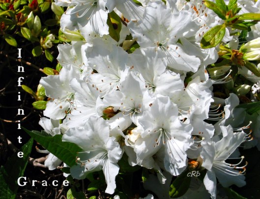 Infinite Grace