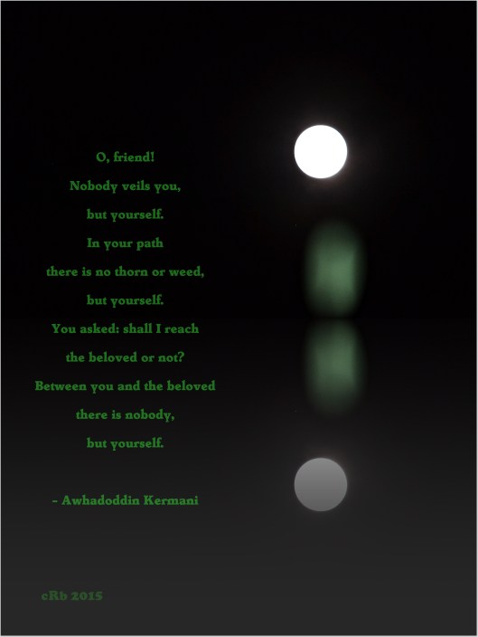 Nobody veills you_.JPG