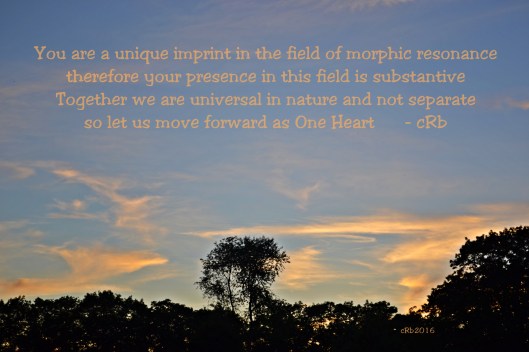 Substantive imprint.JPG