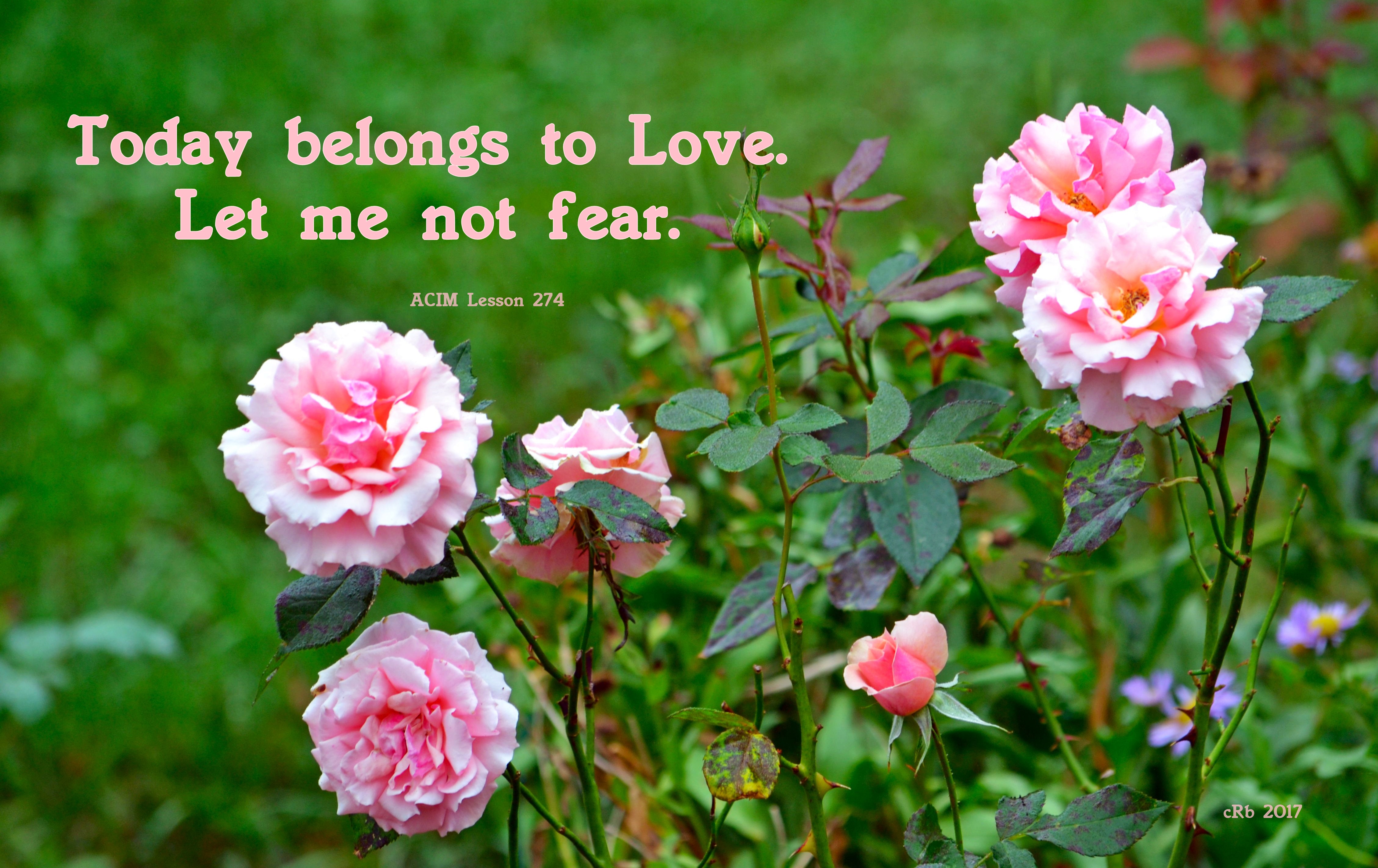 today-belongs-to-love