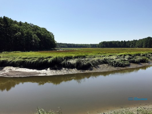 York River 2017-08-28