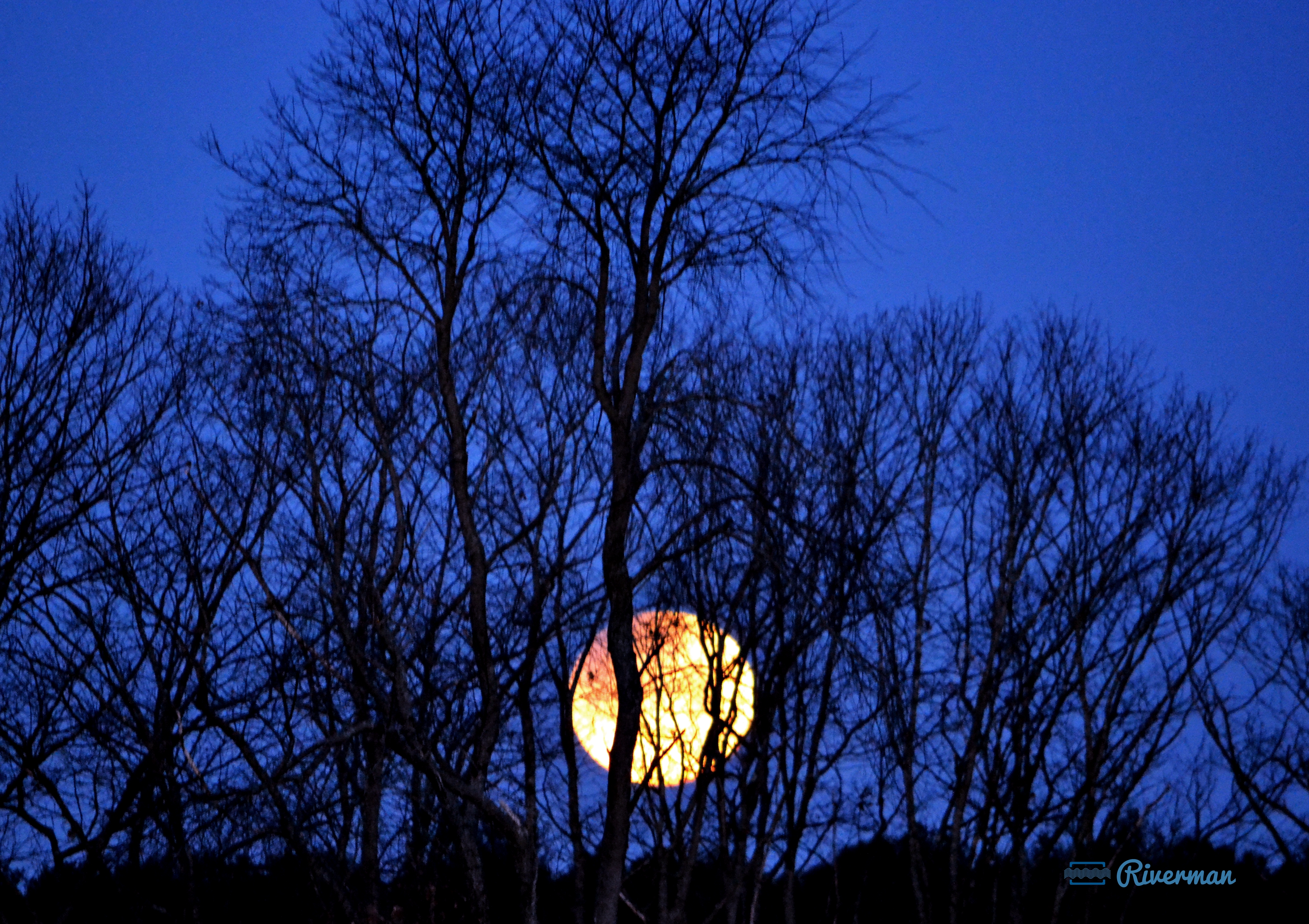 Moon Set Eclipse 2018_01_31