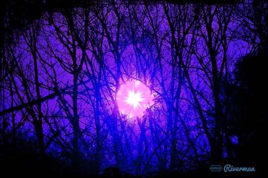 Divine Violet Rays