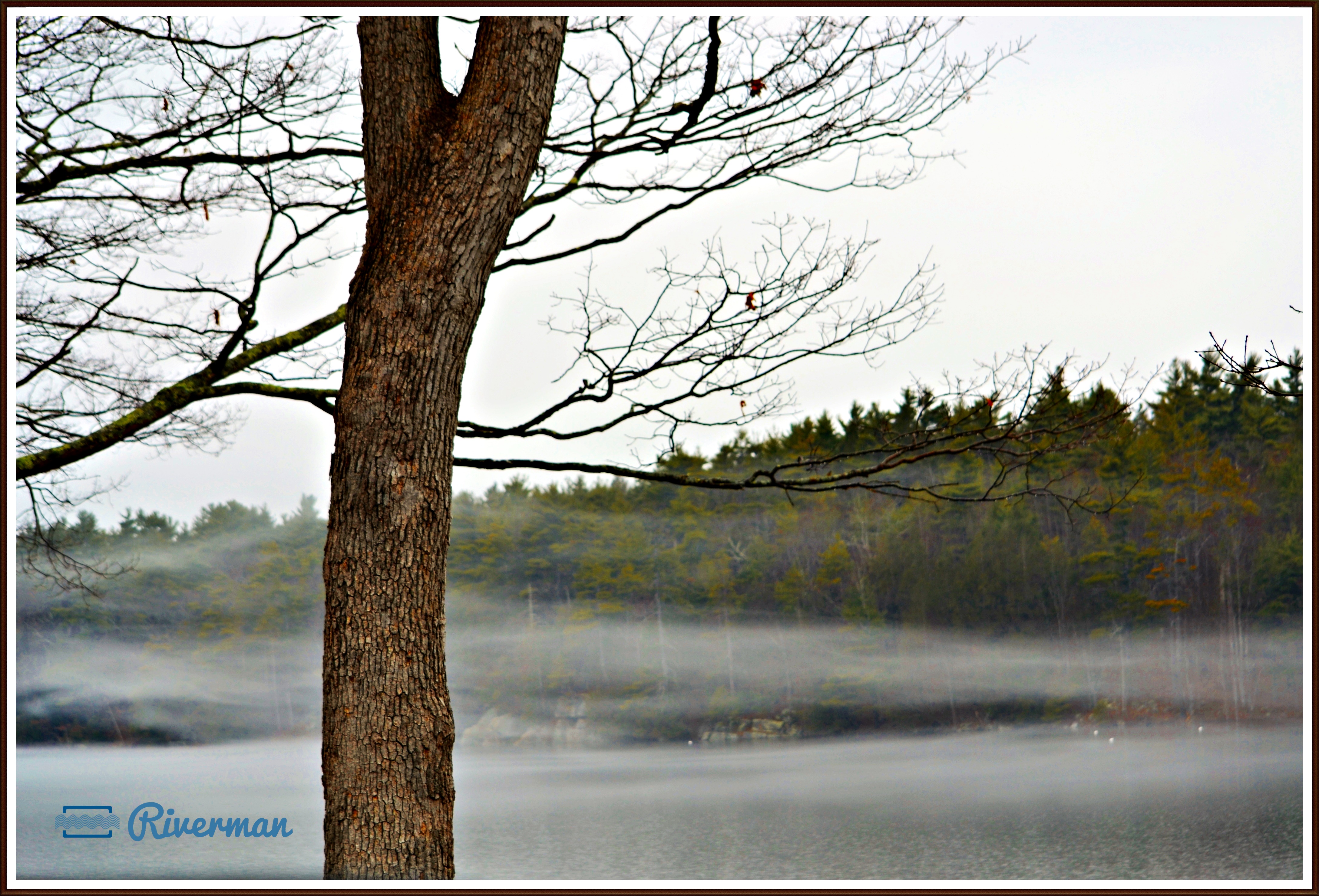 Chases Pond Mist.JPG