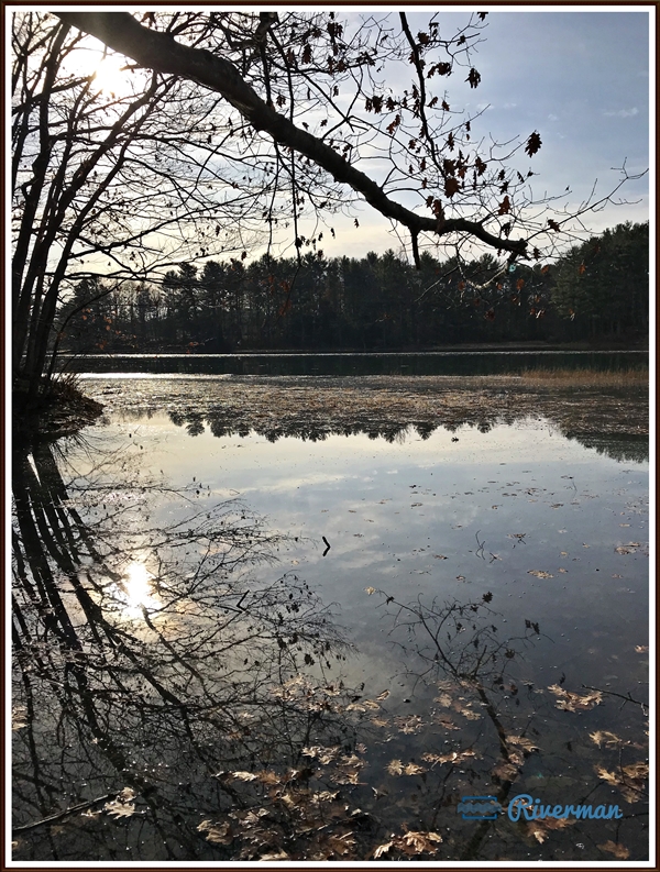 Daily Water Reflection 600w.jpg