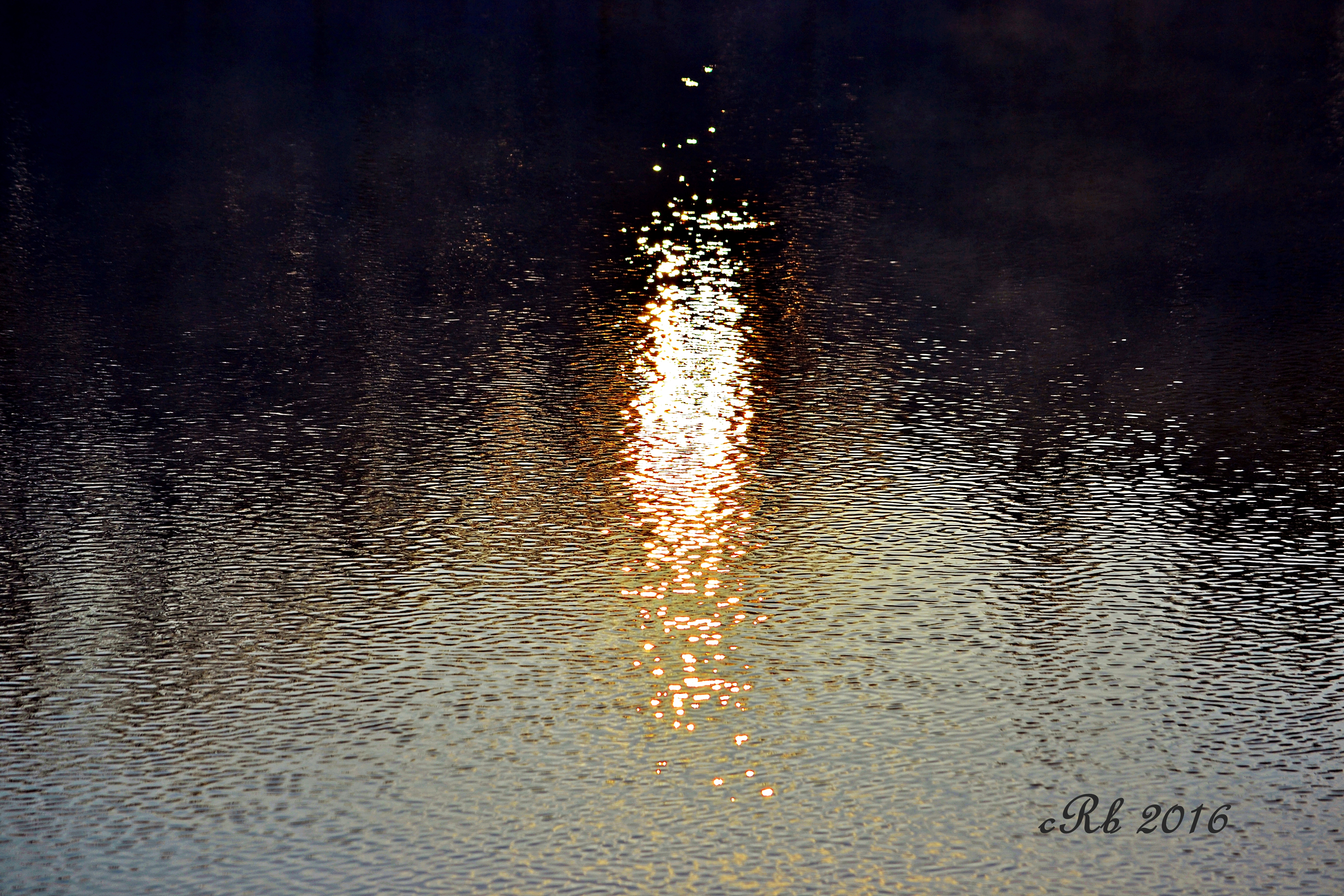 2016_02_06_crb (2).JPG