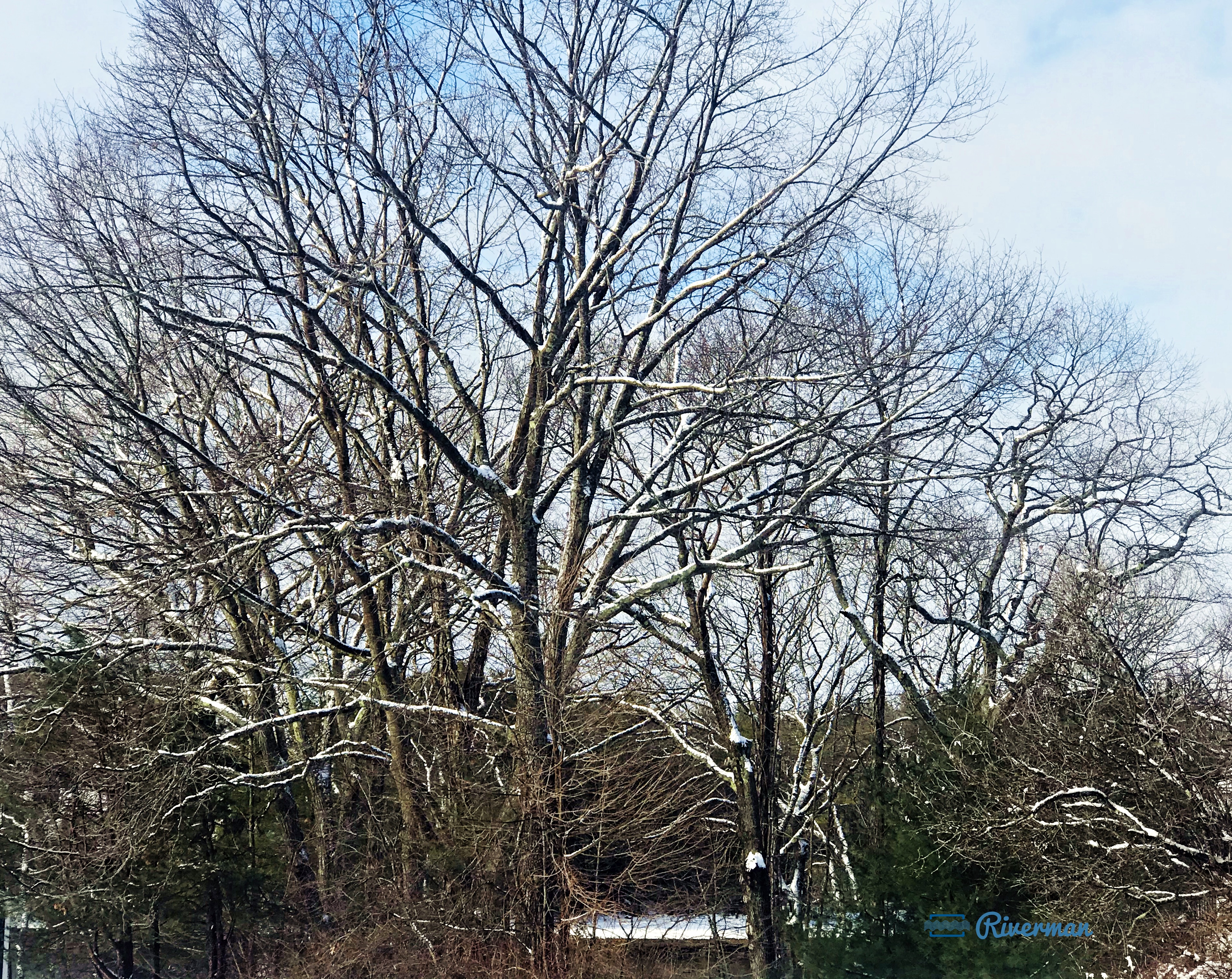 New Moon Spring New Moon Spring Snow | Reflections of Riverman