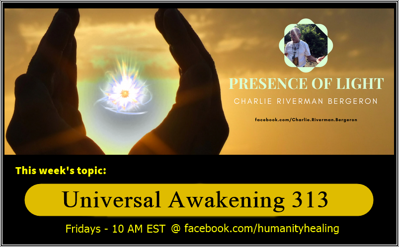 Universal Awakening 313